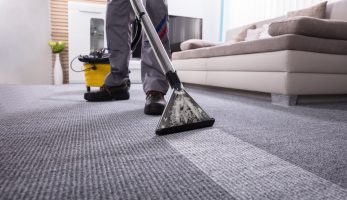 Person deep cleaning a carpet